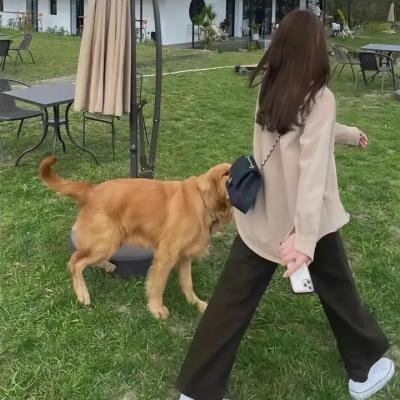 动物管制官第三季